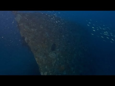 SS Courier Wreck - Point Lonsdale Diving