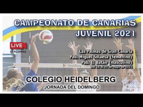 DOMINGO PISTA 1 FINAL- CV SAYRE CENTRO COMERCIAL LA BALLENA  VS CV CCO 7 PALMAS