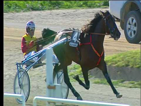 Trotto 10/06/2018 - 6ª corsa