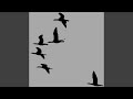 Canadian Geese (Radio Edit)