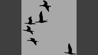 Canadian Geese (Radio Edit)