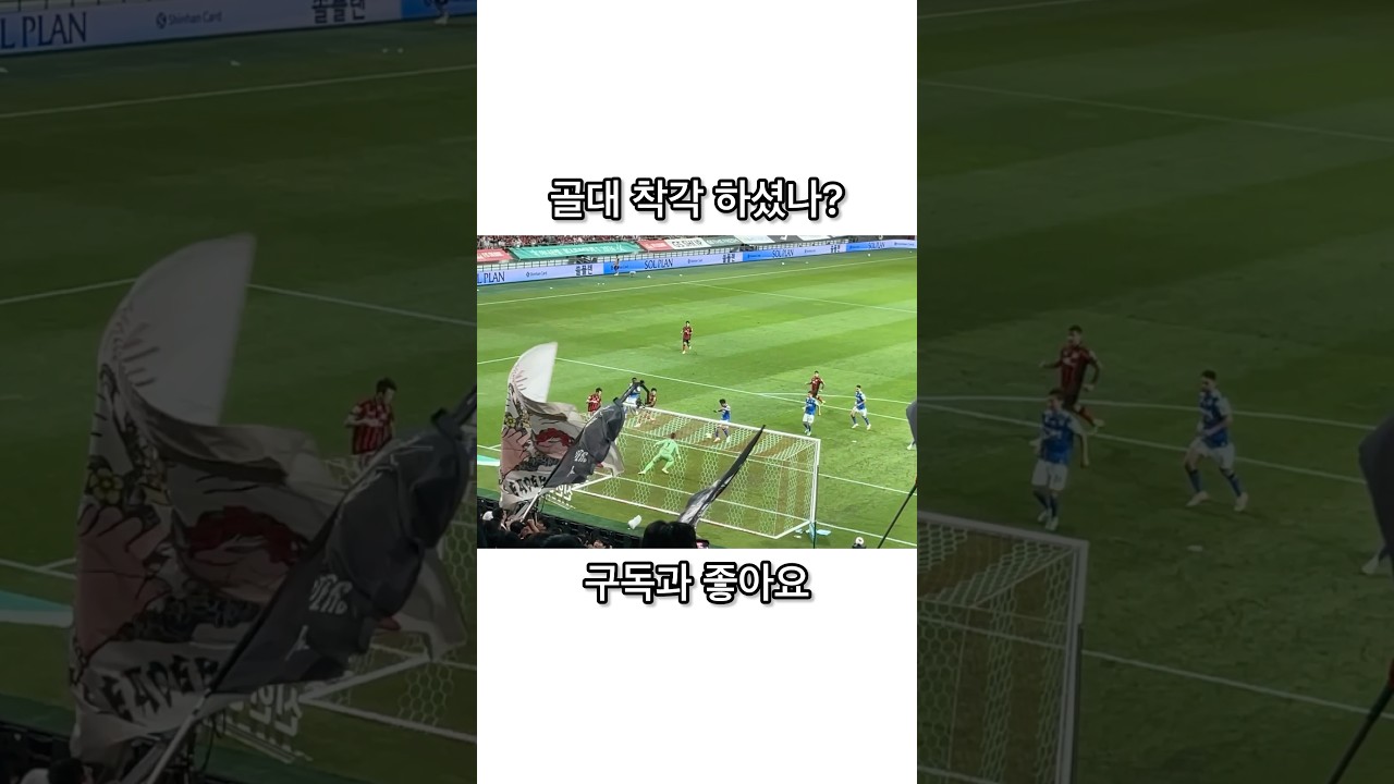 경인더비 이주용 자책골 #fc서울 #k리그 #축구 #shorts