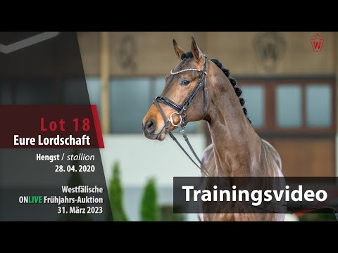 ONLIVE Frühjahrs-Auktion Training Lot 18 Eure Lordschaft Hengst v. Escamillo - Ampere (NLD)