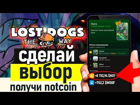 The lost dog. The lost dog. Lost dogs the way как вывести not. Your lost dog. Lost dogs the way как вывести not.