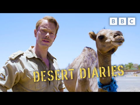 afbeelding Behind the scenes