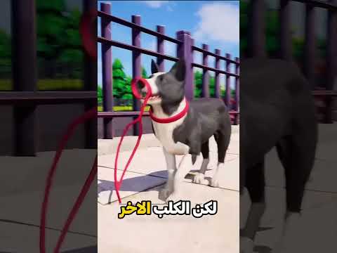 هذا الرجل اختبر كلبه الوفي! 😯❤️