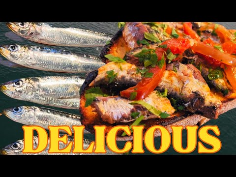 Pier Fishing Sardines for Delicious Catch and Cook!