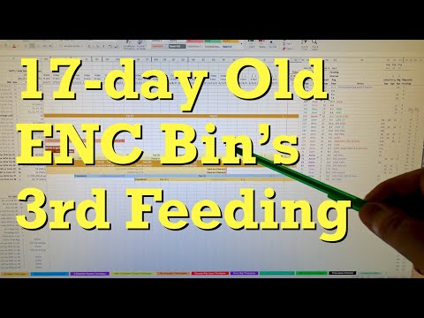 17-day European nightcrawler worm bin fed & gets plastic covering removed - vermicomposting