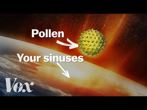 image-How long does tree pollen last?