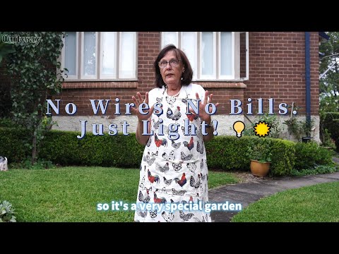 Transform Your Garden with OUTWAY Solar Lights | Eco-Friendly & Hassle-Free!