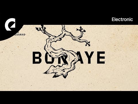 Bonsaye - Marigold