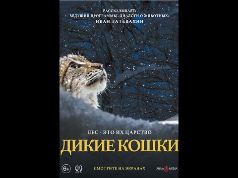 Трейлер