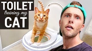 Toilet Training My Cat!