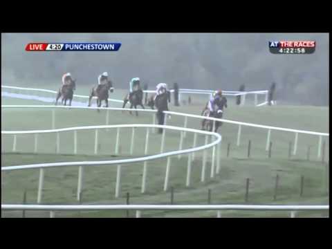 Douvan - Herald Champion Novice Hurdle 2015