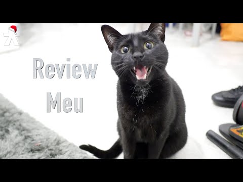 Análisis Meu, review en español