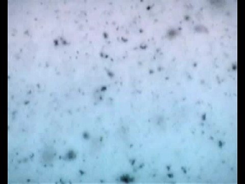 Chris Coco - Searching for the Balearic Heartbeat