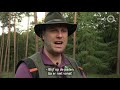 VIDEO | 'Boetes voor wolventoeristen nog te laag', zegt boswachter