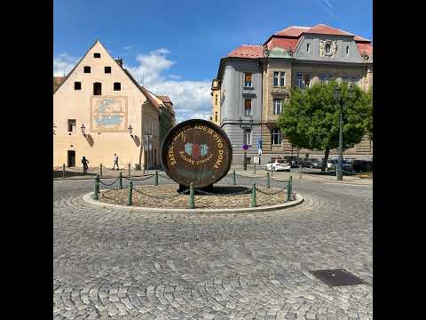 Žatec