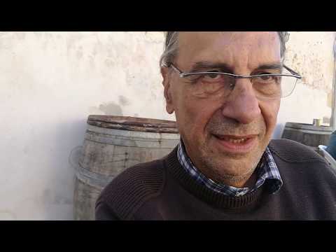 41ème hestejada de las arts -  Rencontre avec Gérard Noiriel