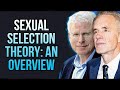 Sexual Selection Theory An Overview By Jordan Peterson And David Buss