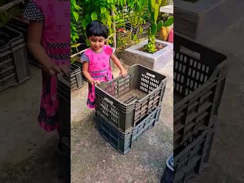 Baby released two big cats #meow #cats