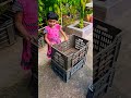 Baby Released Two Big Cats Meow Cats