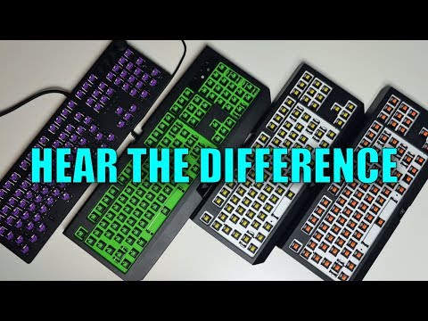 Which Razer Switch Is Best? | Comparison and Sound Test Video