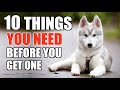 10 Things YOU NEED TO HAVE When You Get A Husky Puppy UPDATED GUIDE FOR BEGINNERS