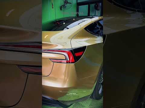 Tesla Colour PPF