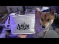THE BEST GOODIE BAG EVER