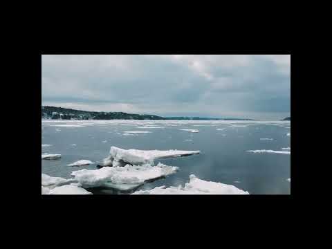 Sarah Stenzel , Josdu, Rey Vercosa | Reason For It 