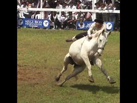 Clinas del Domingo Para el DESMAYO en la Final de Villaguay Entre Rios