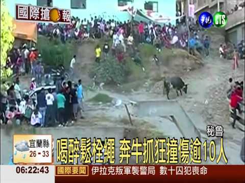 喝醉鬆栓繩 秘魯奔牛撞傷逾10人