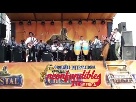 INCONFUNDIBLES DE AMÉRICA - MIX PARRANDAS 2019 (La Vizcachita - Solo Solito)