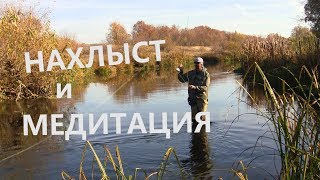 Время ловли голавля на хопре нахлыст
