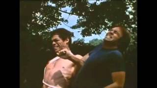 One down, Two to Go Trailer (1982)