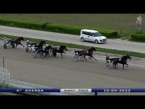 Aversa trotto 15 Aprile 2023 - 5° Corsa