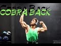 The COBRA Back Workout
