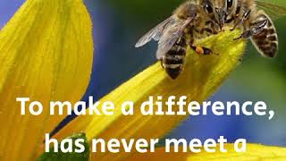 Bee quotes