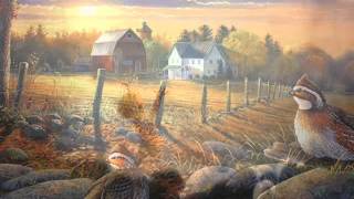 Summertime  ♥  Rick Wakeman {Rhapsodies Album}