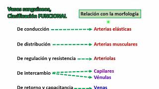 Histología: Corazón - Cardiovascular y respiratorio