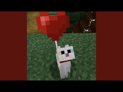 all this 4 the girl next door