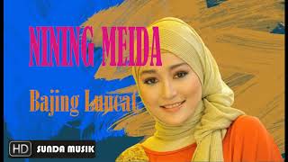 Download lagu sunda musik NINING MEIDA Bajing Luncat mp3 Download lagu sunda musik NINING MEIDA Bajing Luncat mp3