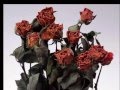 красные и черные розы 