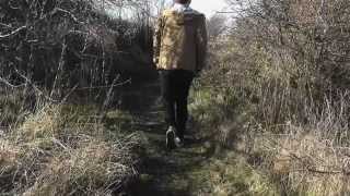 The Weeks - Gobi Blues Fan Video AS Media Coursework