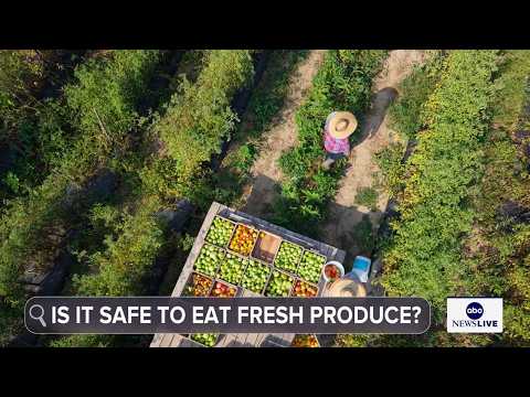 Cyclosporiasis outbreak latest: Is it safe to eat fresh produce?