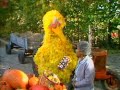 Sesame Street 1615 Street Scenes Visiting Grandma Grace S Farm