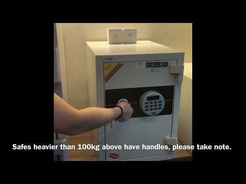 Opening and Resetting Falcon Solid Safe