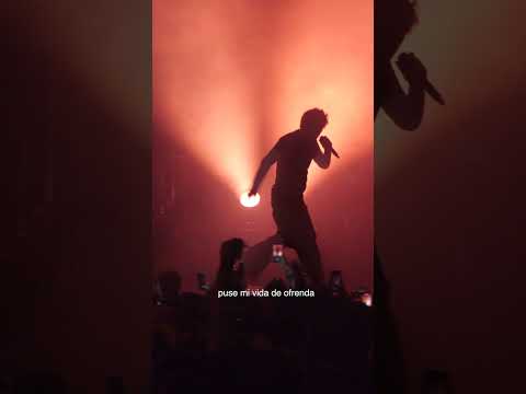 LEONES desde Niceto Club