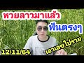 หวย